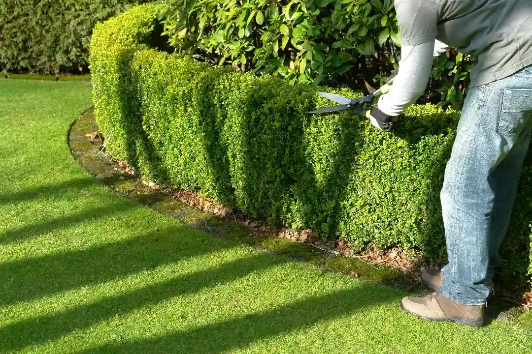 Garden Maintenance Whyalla