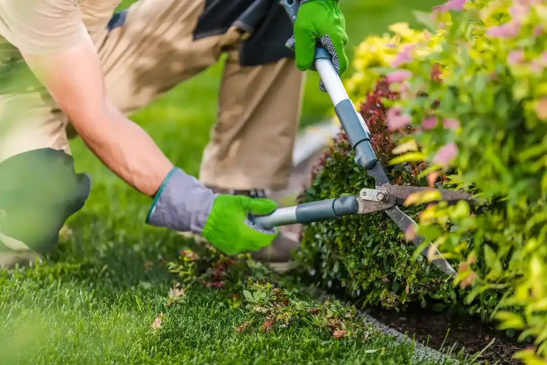 Garden Maintenance Whyalla