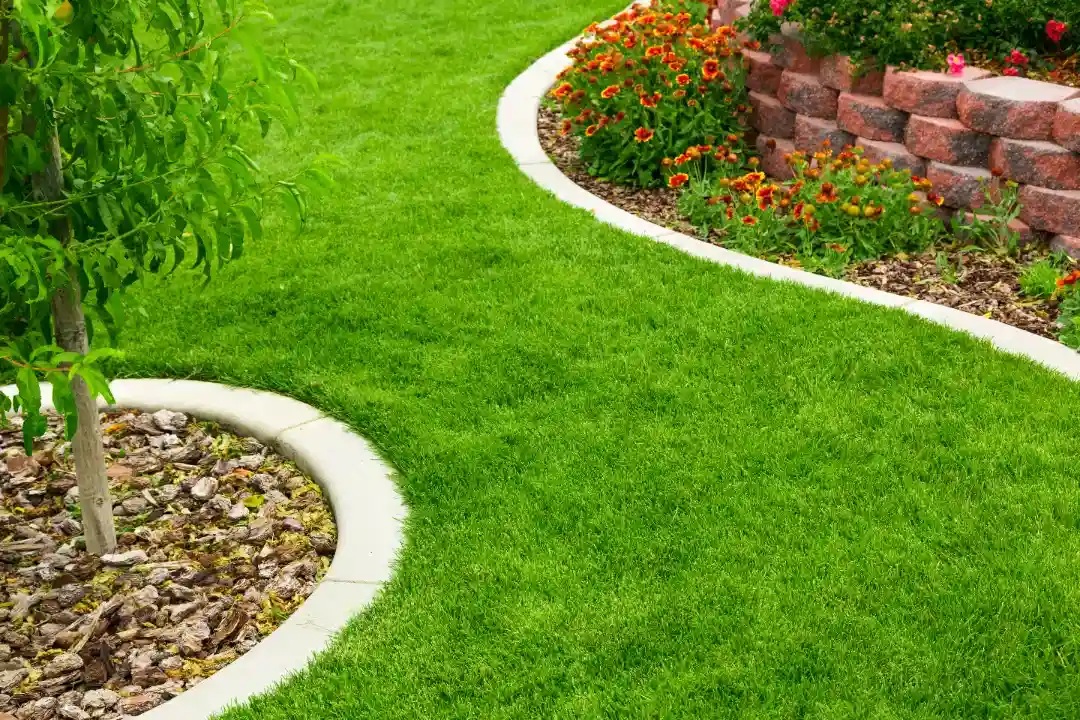 Landscaping Whyalla