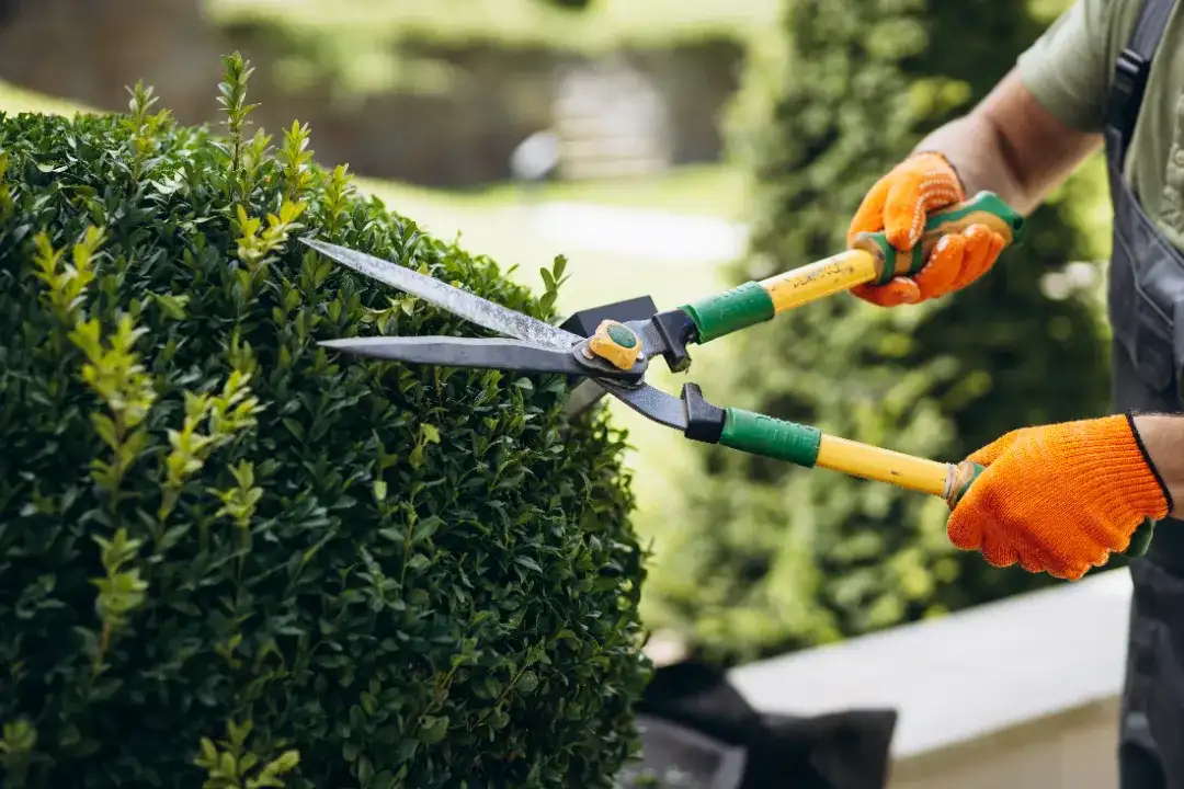 Landscaping Whyalla