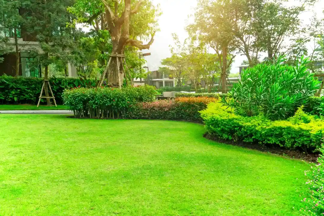NDIS Gardening Services Adelaide