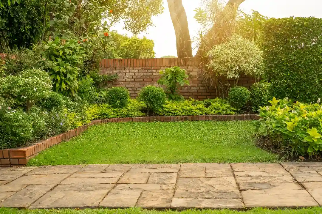 NDIS Gardening Services Adelaide