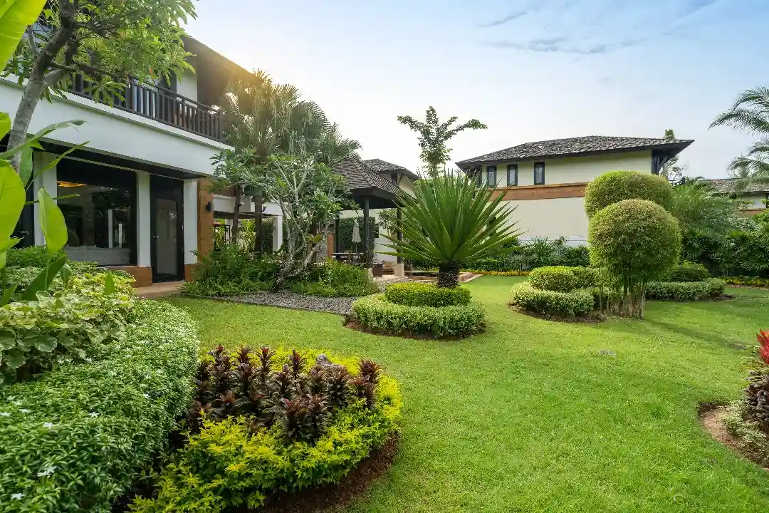 NDIS Gardening Services Adelaide